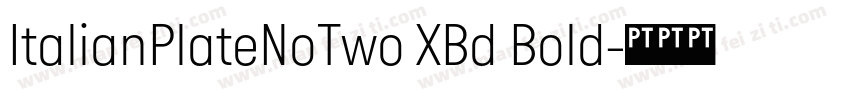 ItalianPlateNoTwo XBd Bold字体转换
